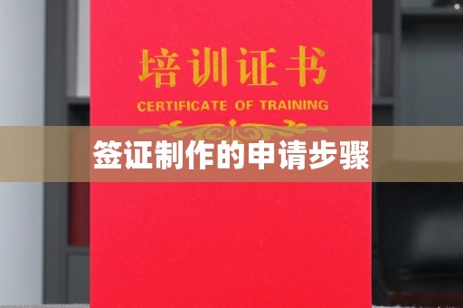 保靖签证制作的申请步骤