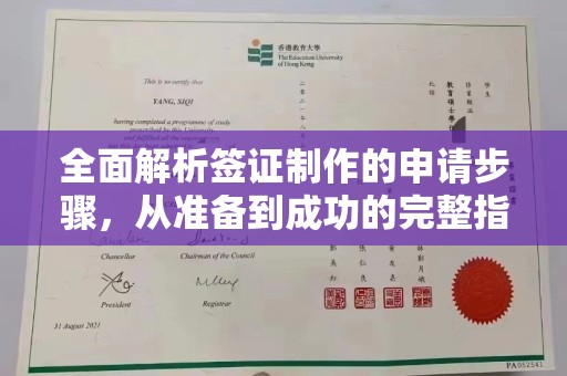 保靖全面解析签证制作的申请步骤，从准备到成功的完整指南
