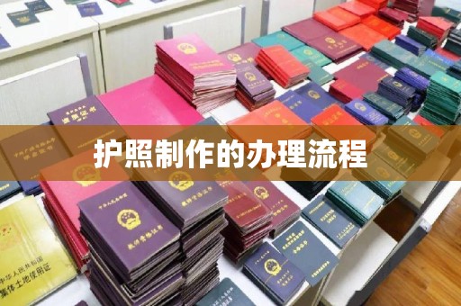 保靖护照制作的办理流程