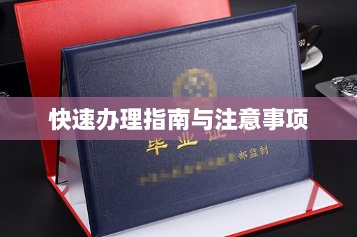 保靖快速办理指南与注意事项
